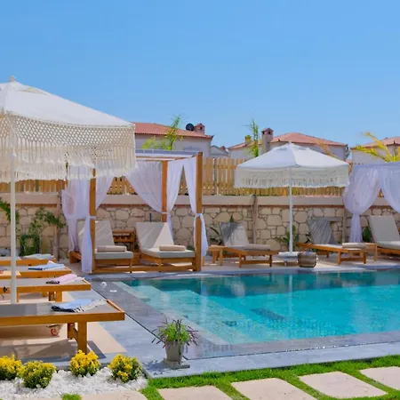 Zaena * Alacati