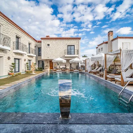 Zaena * Alacati