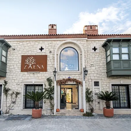 Hotel Zaena *