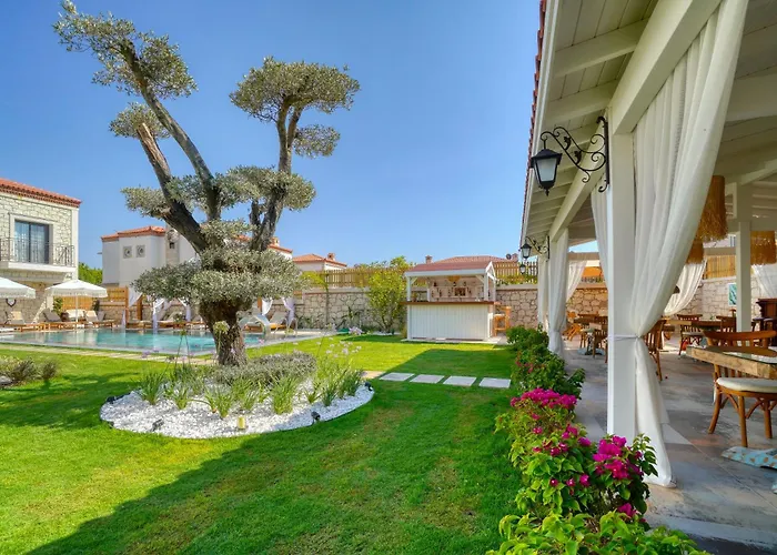 Zaena Hotel