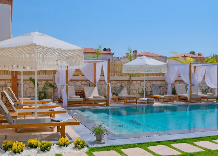Zaena * Alaçatı