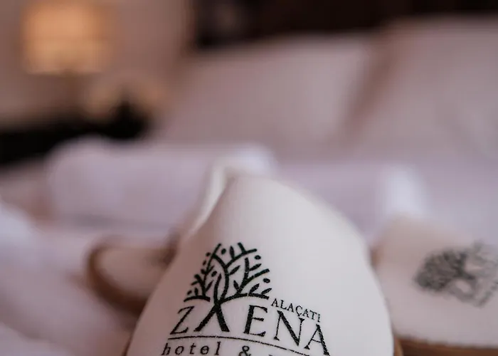 Hotel Zaena *