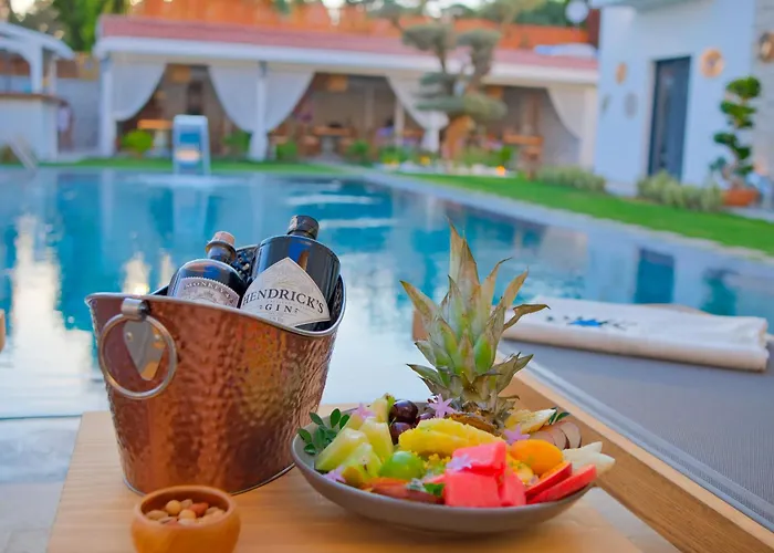 Hotel Zaena *