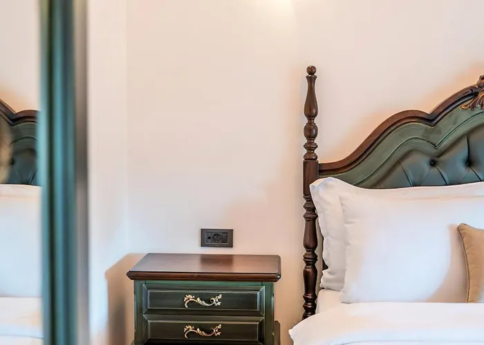 Zaena Hotel *