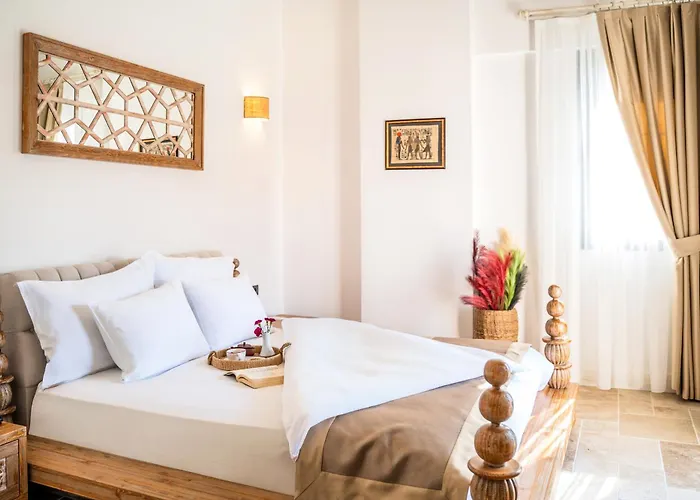 Zaena