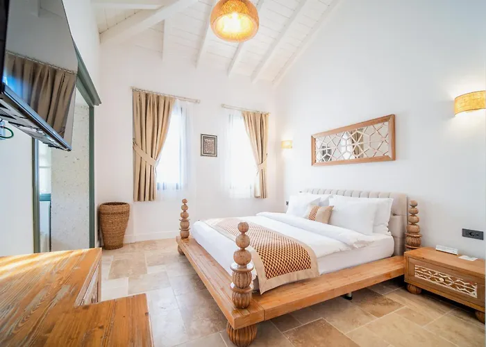 Zaena Hotel *