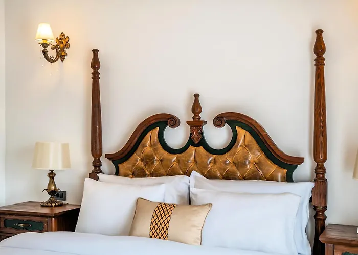 Hotel Zaena *
